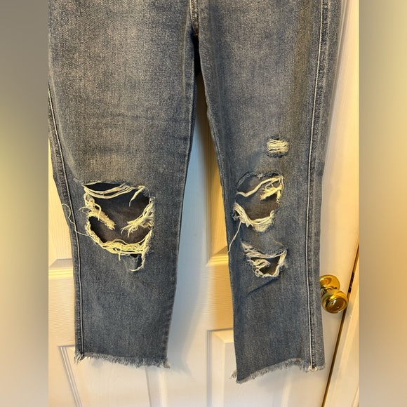 Flying Monkey Straight Ankle Jeans - Picture 3 of 6
